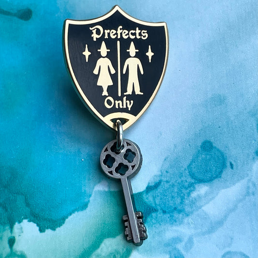 Special Bathroom Key Pin