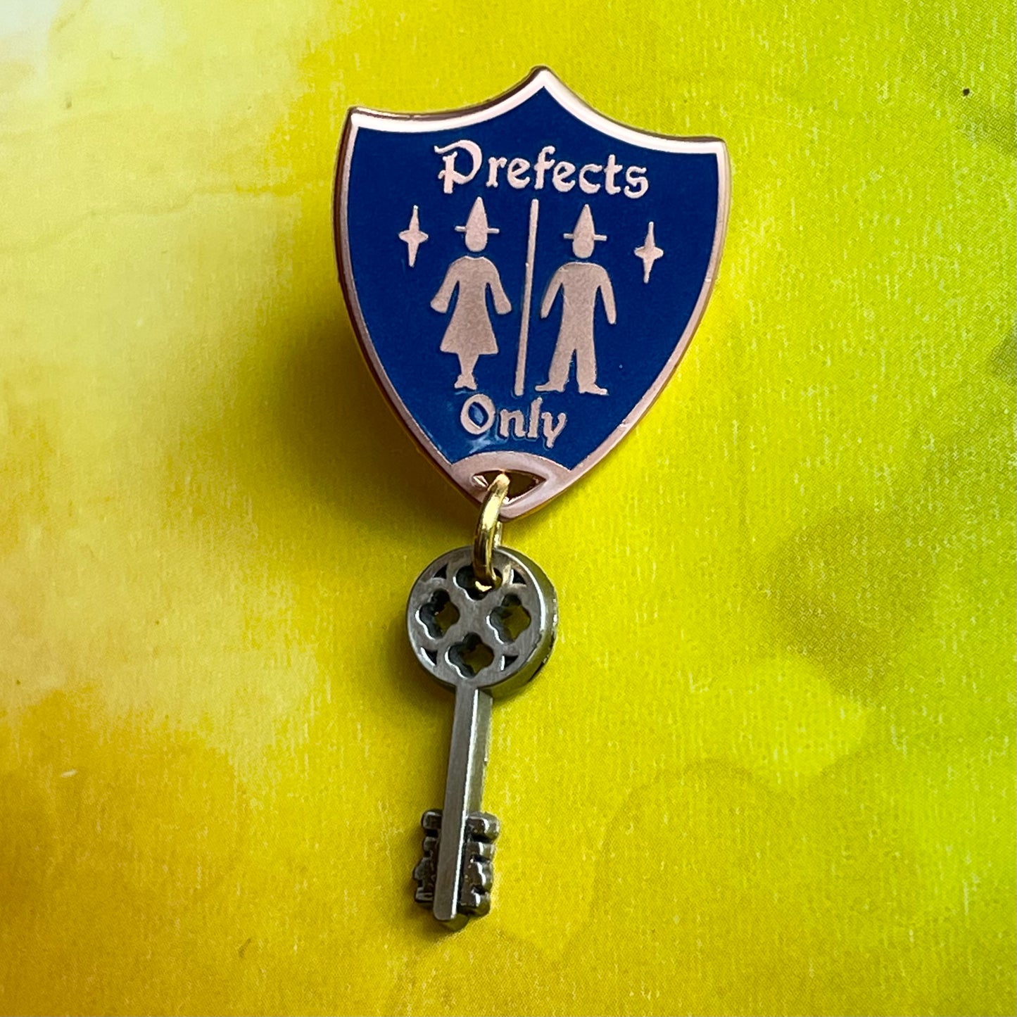 Special Bathroom Key Pin